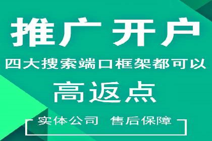百度竞价代理操作手册：成功案例分析